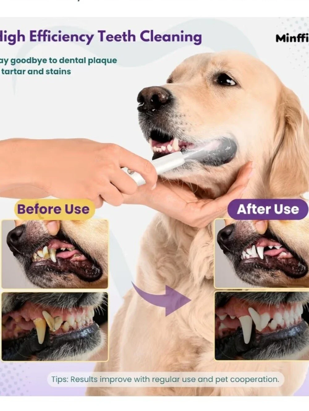 Dog Plaque Remover for Teeth